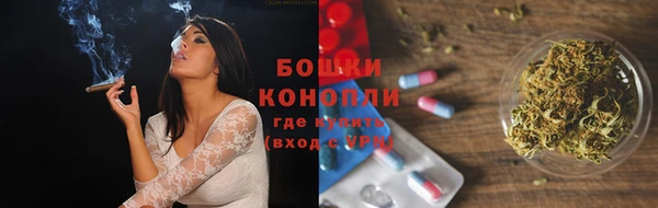 крисы Сатка