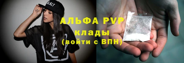 крисы Сатка