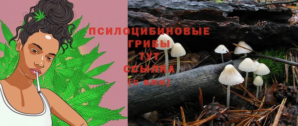 крисы Сатка