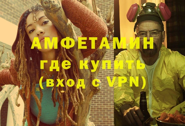 крисы Сатка
