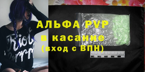 крисы Сатка