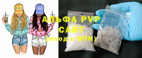 крисы Сатка
