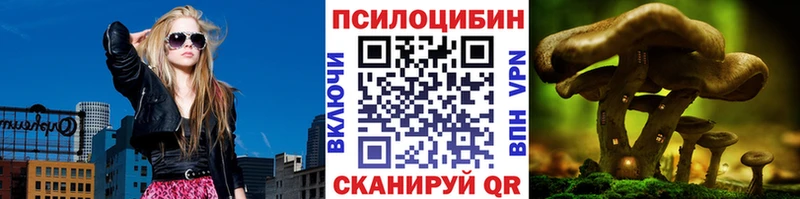 Псилоцибиновые грибы Cubensis  Теберда 